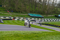 Middle Group White Bikes
